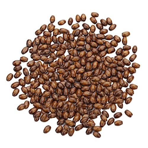 TISHITA 500 Stück Natürliche Holzperlen Zum Fädeln Holz Perlen Perle Beads TISHITA 500 Stück Natürliche Holzperlen Zum Fädeln Holz Perlen Perle Beads von TISHITA