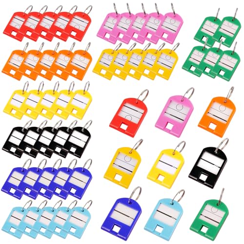 Schlüsselanhänger Beschriftbar, 9 Farben SchlüSselschilder mit Extra Etiketten SchlüSselbeschriftung Schlüssel Anhänger für Koffer Haustiere SchlüSsel Taschen (Mehrfarbig, 54 Stück) von TJCGCKK
