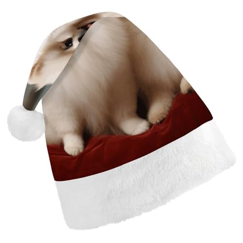 TKJMCSW Kurzhaarige Zwergspitz-Weihnachtsmütze für Erwachsene, Samt, klassische Weihnachtsmütze für Weihnachten, Neujahr, Party, Kopfbedeckung TKJMCSW Kurzhaarige Zwergspitz-Weihnachtsmütze für Erwachsene, Samt, klassische Weihnachtsmütze für Weihnachten, Neujahr, Party, Kopfbedeckung von TKJMCSW