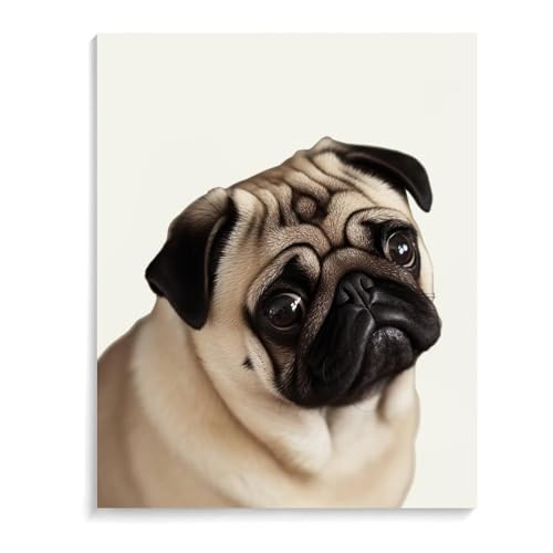 TKJMCSW Malen-nach-Zahlen-Set mit Mops-Motiv für Erwachsene, Anfänger, Erwachsene, Malen nach Zahlen, Kits auf Leinwand, DIY-Acryl-Ölfarben, Gemälde mit Pinseln als Geschenk, Heimdekoration, 40 x 50 TKJMCSW Malen-nach-Zahlen-Set mit Mops-Motiv für Erwachsene, Anfänger, Erwachsene, Malen nach Zahlen, Kits auf Leinwand, DIY-Acryl-Ölfarben, Gemälde mit Pinseln als Geschenk, Heimdekoration, 40 x 50 von TKJMCSW