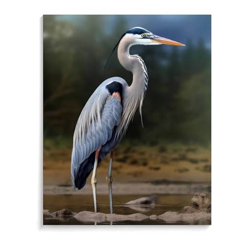 TKJMCSW Reiher-Malen-nach-Zahlen-Set für Erwachsene, Anfänger, Erwachsene, Malen nach Zahlen, Kits auf Leinwand, DIY-Acryl-Ölfarben, Gemälde mit Pinseln für Geschenk, Heimdekoration, 40 x 50 cm TKJMCSW Reiher-Malen-nach-Zahlen-Set für Erwachsene, Anfänger, Erwachsene, Malen nach Zahlen, Kits auf Leinwand, DIY-Acryl-Ölfarben, Gemälde mit Pinseln für Geschenk, Heimdekoration, 40 x 50 cm von TKJMCSW