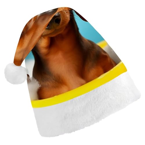 TKJMCSW Weihnachtsmütze mit Dackel-Motiv, für Erwachsene, Samt, klassische Weihnachtsmütze für Weihnachten, Neujahr, Party, Kopfbedeckung TKJMCSW Weihnachtsmütze mit Dackel-Motiv, für Erwachsene, Samt, klassische Weihnachtsmütze für Weihnachten, Neujahr, Party, Kopfbedeckung von TKJMCSW