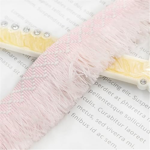 6 Meter Fransenborte - 3 cm Fransenband TextilbordüRe Dekoband StoffbordüRe DIY Spitzenborte Quastenborte Lace Ribbon Vintage Stoffband Quasten Trim Quastenband zum Nähen (Hellrosa) von TKSJROL