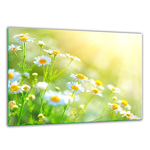 TMK ArtDeko – Schneidebrett Glas – Glasschneidebrett für die Küche 30x22 cm – Robust, Hygienisch & Rutschfest – Glas Schneidebrett – Zusätzliche Arbeitsfläche – Vielseitige Nutzung – Blumen TMK ArtDeko – Schneidebrett Glas – Glasschneidebrett für die Küche 30x22 cm – Robust, Hygienisch & Rutschfest – Glas Schneidebrett – Zusätzliche Arbeitsfläche – Vielseitige Nutzung – Blumen von TMK ArtDeko