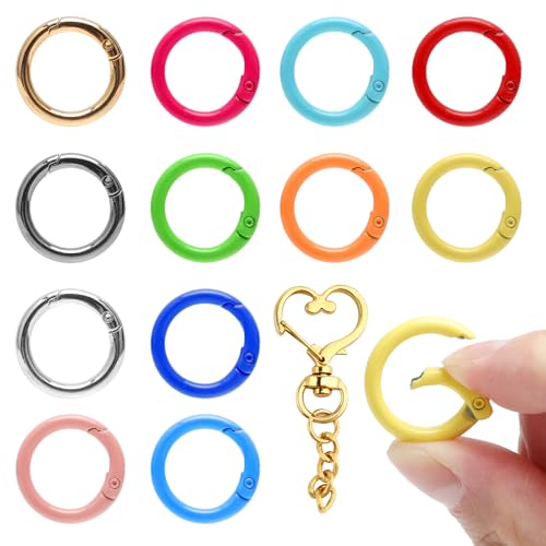 12 Stück Mini Runde Karabinerhaken, 2,4 cm Kleine Schlüsselanhänger Haken mit Anhänger, Schlüsselringe Bunt Federspaltringe Karabinerring Taschenringe für Bastelarbeiten DIY Schlüsselbänder Rucksack von TMZELOA