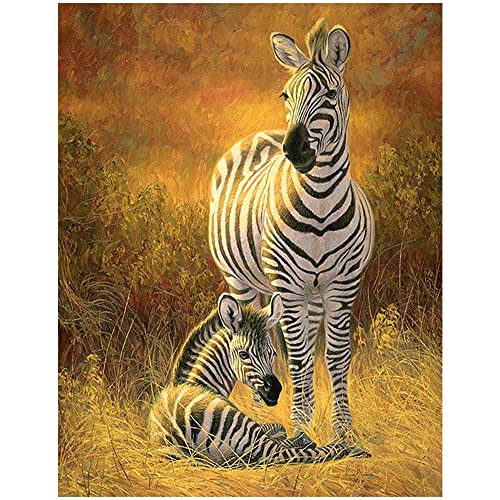 TNXEV 5D DIY Diamond Painting Zebra Full Drill,x CM Zebra Stickers Diamond Art Canvas Zebra Large Size Diamond Paintings Zebra Cross Stitch Diamond Painting Cute Animals Designs Adult 40 * 50cm von TNXEV