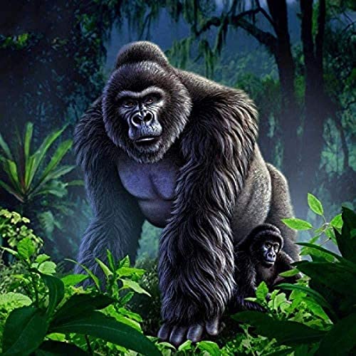 TNXEV Diamond Painting Children's 5D Gorilla Animals DIY Painting by Numbers Adult Diamond Painting Birthday Gifts 30 * 40CM TNXEV Diamond Painting Children's 5D Gorilla Animals DIY Painting by Numbers Adult Diamond Painting Birthday Gifts 30 * 40CM von TNXEV
