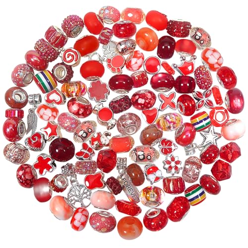 TOAOB 100 Stück Europäische Perlen 50 Stile Rot Große Loch Strass Charms Spacer Perlen Für DIY Handwerk Armbänder Halsketten Schmuckherstellung von TOAOB THE ONE AND ONLY BABY