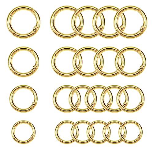 TOAOB 20 Stück Runde Karabinerring Frühling Sprung Ringe 20mm bis 35mm Runde Karabiner O Ring Karabinerhaken Zinklegierung Gold für Schlüsselanhänger Halter Taschen Geldbörsen Tragetaschen TOAOB 20 Stück Runde Karabinerring Frühling Sprung Ringe 20mm bis 35mm Runde Karabiner O Ring Karabinerhaken Zinklegierung Gold für Schlüsselanhänger Halter Taschen Geldbörsen Tragetaschen von TOAOB THE ONE AND ONLY BABY