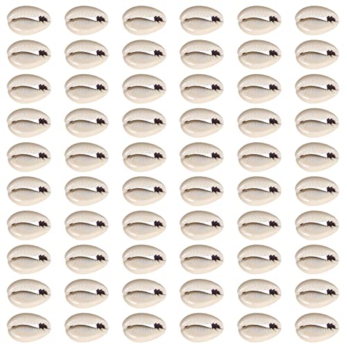 TOAOB 200 Stück Natürlichen Muschel Perlen 15 bis 17mm Seashells Kauri für DIY Schmuck Machen Deco Handwerk von TOAOB THE ONE AND ONLY BABY