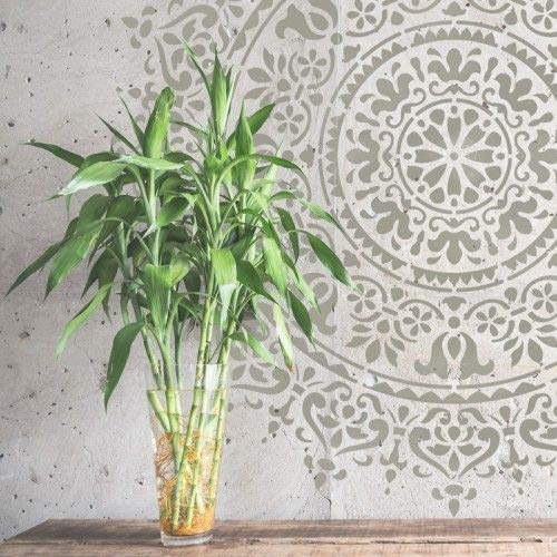 TODO-STENCIL Schablone Home Decor Rosette 017 Mandala, Außenmaße: 30 x 30 cm, Innenmaße: 28 x 28 cm TODO-STENCIL Schablone Home Decor Rosette 017 Mandala, Außenmaße: 30 x 30 cm, Innenmaße: 28 x 28 cm von TODO-STENCIL