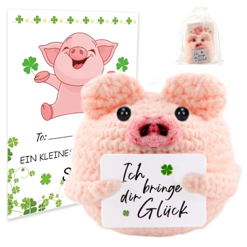 Pocket Hug Glücksschweinchen, Strickwolle Schwein Puppe mit Energiekarte Aufmunterung Geschenke Glücksbringer Prüfung Geschenk Positive Geschenke für Frauen/Freundin/Freunde/Kollegen/Erwachsene/Kinder Pocket Hug Glücksschweinchen, Strickwolle Schwein Puppe mit Energiekarte Aufmunterung Geschenke Glücksbringer Prüfung Geschenk Positive Geschenke für Frauen/Freundin/Freunde/Kollegen/Erwachsene/Kinder von TOGETDREAM