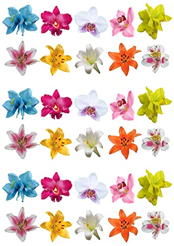 30 Gorgeous gemischt Orchidee & Lily Flower Auswahl Essbar Wafer Papier Kuchen Topper Dekorationen von Top That