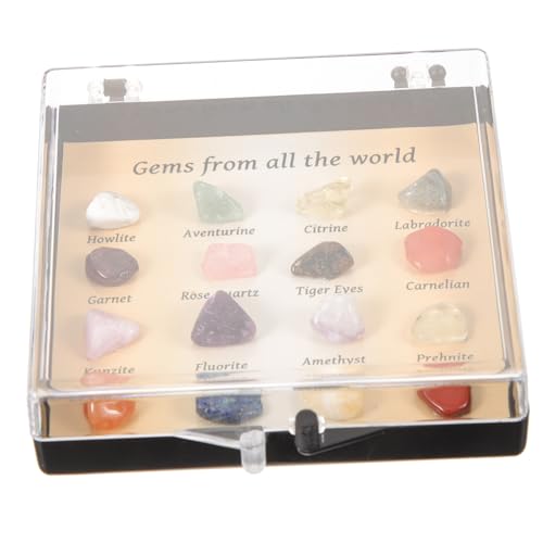 TOPBATHY 1 Schachtel Mineralien Sammlung Box Mini Kristall Steine Naturstein Modell Lehrmaterialien für Schüler Dekorative Mineralien Proben Display Home Office Schmuckstein Ornamente TOPBATHY 1 Schachtel Mineralien Sammlung Box Mini Kristall Steine Naturstein Modell Lehrmaterialien für Schüler Dekorative Mineralien Proben Display Home Office Schmuckstein Ornamente von TOPBATHY