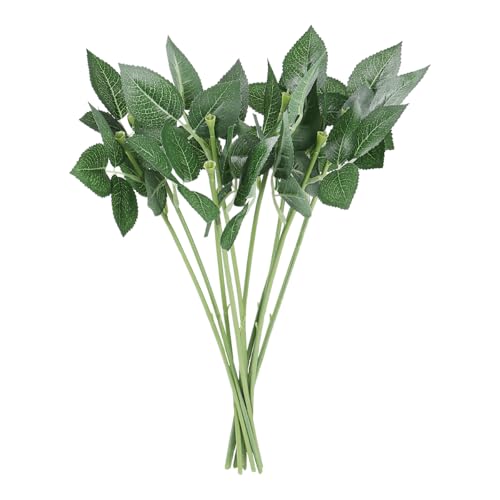 TOPBATHY 10 Künstliche Rosenstielblätter Blumenstiele Für Häkelblumen Blumendraht Stamm mit Blättern DIY Handwerk Bouquet Blumenzweige für DIY Blumensträuße Hochzeit Party-Dekoration TOPBATHY 10 Künstliche Rosenstielblätter Blumenstiele Für Häkelblumen Blumendraht Stamm mit Blättern DIY Handwerk Bouquet Blumenzweige für DIY Blumensträuße Hochzeit Party-Dekoration von TOPBATHY