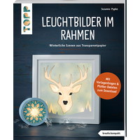Leuchtbilder im Rahmen von TOPP