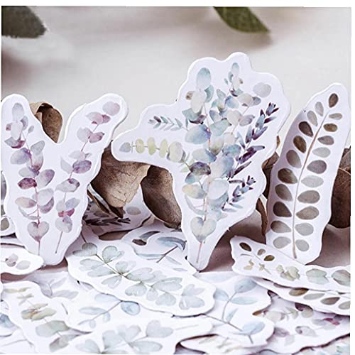 TOSSPER 46 Stücke Vintage Pflanzen Aufkleber Mini Eukalyptus Dekoration Papier Aufkleber Paket Tagebuch Dekoration Aufkleber Album Scrapbooking TOSSPER 46 Stücke Vintage Pflanzen Aufkleber Mini Eukalyptus Dekoration Papier Aufkleber Paket Tagebuch Dekoration Aufkleber Album Scrapbooking von TOSSPER