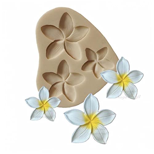 TOSSPER Sugar Plumeria-Blumen-silikon-Form-Fondant-Kuchen, Die Werkzeuge Schokolade Zuckermasse Moulds TOSSPER Sugar Plumeria-Blumen-silikon-Form-Fondant-Kuchen, Die Werkzeuge Schokolade Zuckermasse Moulds von TOSSPER