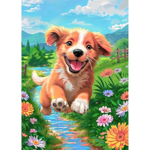 TOSTOG 5D Diamond Painting für Erwachsene,Welpe Diamant Painting Kits Bilder,Blumen Karikatur Diamant Malerei DIY Diamond Painting Bilder Set 30x40cm für Wanddekor TOSTOG 5D Diamond Painting für Erwachsene,Welpe Diamant Painting Kits Bilder,Blumen Karikatur Diamant Malerei DIY Diamond Painting Bilder Set 30x40cm für Wanddekor von TOSTOG