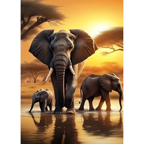 TOSTOG Diamond Painting für Erwachsene,Elefant Familie Diamant Painting Kits Full Drill Bilder 5D DIY Diamant Malerei Set 30x40cm für Wanddekor von TOSTOG