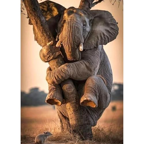 TOSTOG Diamond Painting für Erwachsene,Elefant und Maus Diamant Painting Kits Full Drill Bilder 5D DIY Diamant Malerei Set 30x40cm für Wanddekor TOSTOG Diamond Painting für Erwachsene,Elefant und Maus Diamant Painting Kits Full Drill Bilder 5D DIY Diamant Malerei Set 30x40cm für Wanddekor von TOSTOG