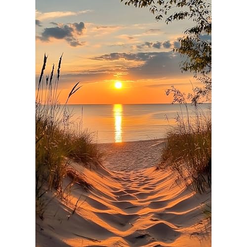 TOSTOG Diamond Painting für Erwachsene,Strand in Der Abenddämmerung Diamant Painting Kits Full Drill Bilder 5D DIY Diamant Malerei Set 30x40cm für Wanddekor TOSTOG Diamond Painting für Erwachsene,Strand in Der Abenddämmerung Diamant Painting Kits Full Drill Bilder 5D DIY Diamant Malerei Set 30x40cm für Wanddekor von TOSTOG