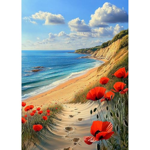 TOSTOG Diamond Painting für Erwachsene,Strandlandschaft Diamant Painting Kits Full Drill Bilder 5D DIY Diamant Malerei Set 30x40cm für Wanddekor von TOSTOG