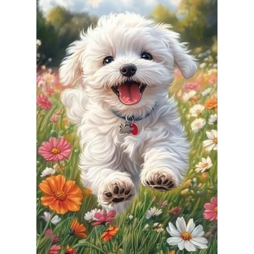 TOSTOG Diamond Painting für Erwachsene,Weißer Bichon Frisé Diamant Painting Kits Full Drill Bilder 5D DIY Diamant Malerei Set 30x40cm für Wanddekor TOSTOG Diamond Painting für Erwachsene,Weißer Bichon Frisé Diamant Painting Kits Full Drill Bilder 5D DIY Diamant Malerei Set 30x40cm für Wanddekor von TOSTOG