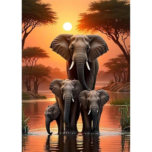 TOSTOG Diamond Painting für Erwachsene Anfänger,5D Diamant Painting Kits Bilder Elefant DIY Full Drill Diamant Malerei Set 30x40cm für Wanddekor TOSTOG Diamond Painting für Erwachsene Anfänger,5D Diamant Painting Kits Bilder Elefant DIY Full Drill Diamant Malerei Set 30x40cm für Wanddekor von TOSTOG