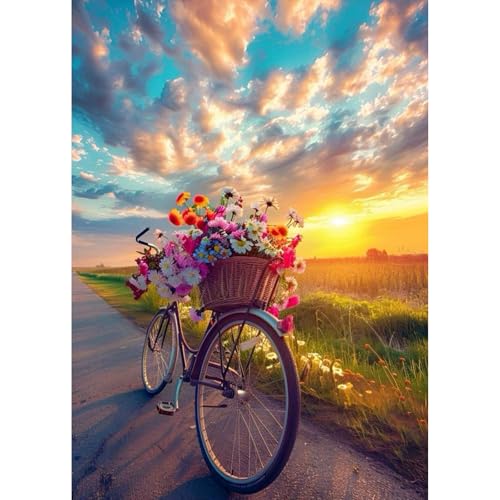 TOSTOG Diamond Painting für Erwachsene Anfänger,5D Fahrräder Diamant Painting Kits Bilder Landschaft DIY Full Drill Diamant Malerei Set 30x40cm für Wanddekor TOSTOG Diamond Painting für Erwachsene Anfänger,5D Fahrräder Diamant Painting Kits Bilder Landschaft DIY Full Drill Diamant Malerei Set 30x40cm für Wanddekor von TOSTOG