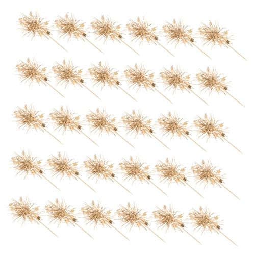 TOYANDONA 100 Stück Feuerwerkskuchen -plugin Gebäck Topper Lebensmittel Zahnstocher Cupcake Topper Zum Geburtstag Kuchen Backen Geburtstagsdekorationen Backen Bambusstab Golden TOYANDONA 100 Stück Feuerwerkskuchen -plugin Gebäck Topper Lebensmittel Zahnstocher Cupcake Topper Zum Geburtstag Kuchen Backen Geburtstagsdekorationen Backen Bambusstab Golden von TOYANDONA