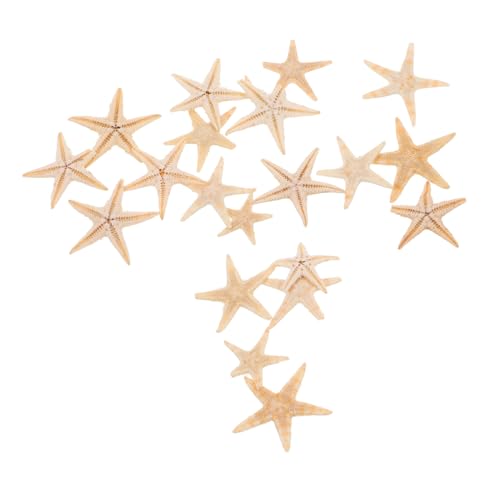 TOYANDONA 20 Stück Teiliges Mini Seestern Dekorationsset für DIY Kerzen und Epoxidharz Natürliche Seestern Statuen für Strand Themen Hochzeitsdekoration und Aromatherapie Dekorationen TOYANDONA 20 Stück Teiliges Mini Seestern Dekorationsset für DIY Kerzen und Epoxidharz Natürliche Seestern Statuen für Strand Themen Hochzeitsdekoration und Aromatherapie Dekorationen von TOYANDONA
