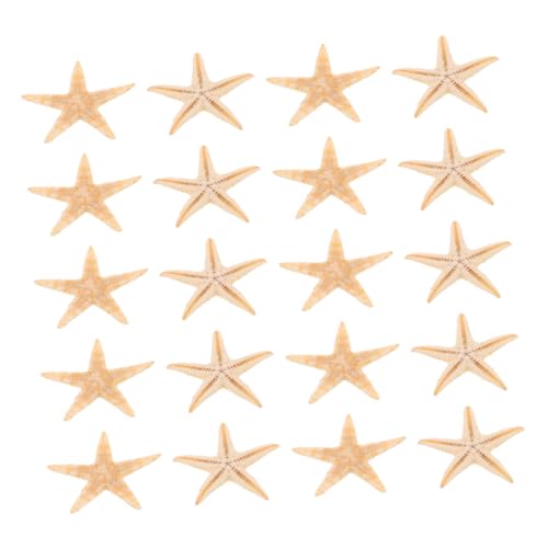 TOYANDONA 20 Stück Teiliges Mini Seesterne Naturmaterialien Detaillierte Handwerkskunst Langlebig für DIY Kerzenherstellung Epoxidharz Bastelprojekte Strandhochzeit Party Dekoration TOYANDONA 20 Stück Teiliges Mini Seesterne Naturmaterialien Detaillierte Handwerkskunst Langlebig für DIY Kerzenherstellung Epoxidharz Bastelprojekte Strandhochzeit Party Dekoration von TOYANDONA