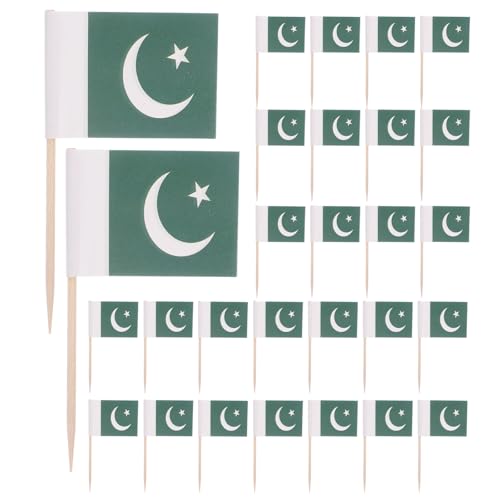 TOYANDONA 200 Stück Pakistan-Zahnstocherflaggen: Party-Vorspeisen-Picks, pakistanische Mini-Cupcake-Topper-Flaggen für Kuchendekoration, Grün von TOYANDONA