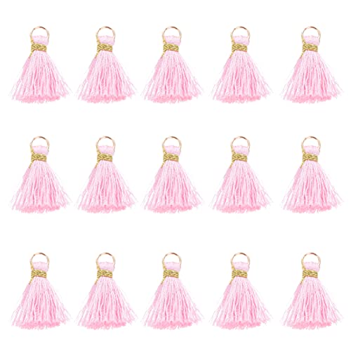 TOYANDONA 30 Stücke Quaste Anhänger Mini Quasten Bunt Quasten Basteln für DIY Handwerk Schmuck Ohrring Halskette Taschenanhänger Zubehör Pink TOYANDONA 30 Stücke Quaste Anhänger Mini Quasten Bunt Quasten Basteln für DIY Handwerk Schmuck Ohrring Halskette Taschenanhänger Zubehör Pink von TOYANDONA