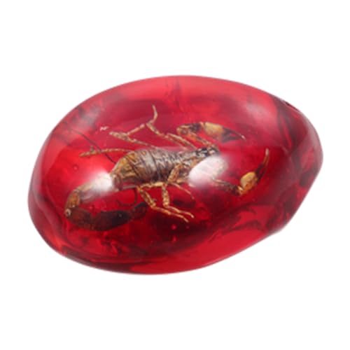 TOYANDONA Scorpion Resin Deko Exemplar Bernstein Insektenmodell Für Schmuck Wasserfallform Für Und Dekoration von TOYANDONA