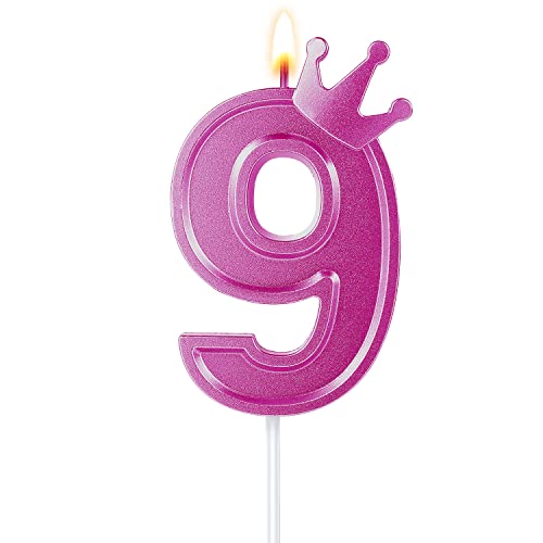 7,6cm Geburtstag Nummer Kerzen, 3D Zahlen Geburtstagskerzen mit Kronendekor Geburtstagskerzen für Torte Zahlen Kuchenzahlenkerzen für Kuchen Geburtstag Jahrestag Partys (Rosa, 9) von TOYMIS