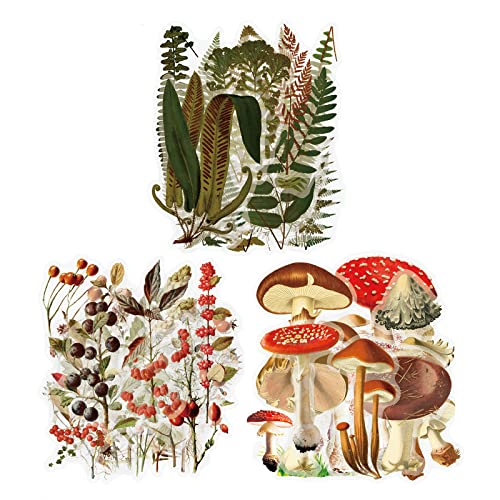 TOYMIS 120 Stück Vintage Pflanzen Aufkleber für Scrapbooking und Journal Dekoration TOYMIS 120 Stück Vintage Pflanzen Aufkleber für Scrapbooking und Journal Dekoration von TOYMIS