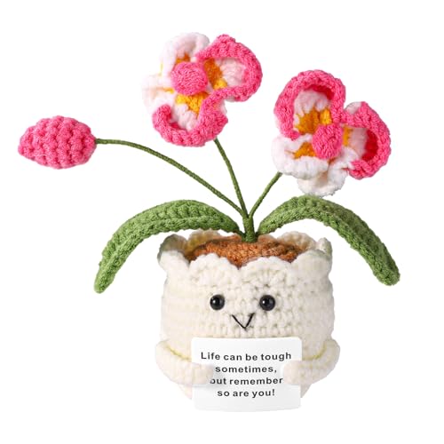TOYMIS Positive Orchidee, Gehäkelte Orchidee Emotionale Unterstützung Häkelblumen mit Positiver Nachrichtenkarte als Motivierendes Geschenk Zuhause Büro Dekor Geschenk zum Schulanfang(Weiß und Rosa) von TOYMIS