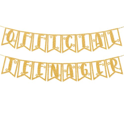 TOYVENTURES 13 Geburtstag Dekorationen - Offizielle Teenager Glitzer Wimpelkette Banner mit Zahl 13 Girlande | Partyzubehör Ideen Geschenke für Mädchen Jungen | Vorbespanntes wiederverwendbares von TOYVENTURES