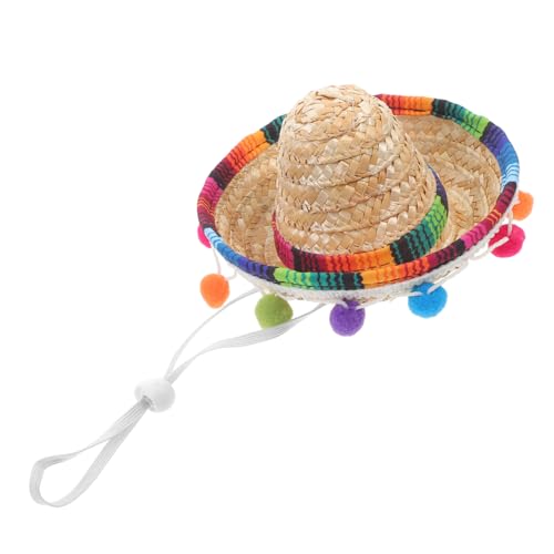 TOYZFRIENDY Kleiner Mexikanischer Strohhut mit Pompons Handgefertigter Partyhut für Karneval Fiesta und Tanz Events Buntes Design für Festliche und Stilvolle Kostüme von TOYZFRIENDY