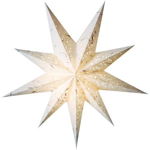 Trend Import Papierstern Starlightz Spumante White Weihnachtsstern Trend Import Papierstern Starlightz Spumante White Weihnachtsstern von TREND IMPORT