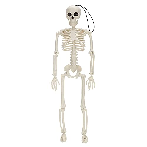 TRITAM 40 cm Bewegliche Voll Menschliches Skelett Prop Halloween Party Dekoration Haunted House Requisiten Friedhof Dekor 1 STÜCKE A von TRITAM