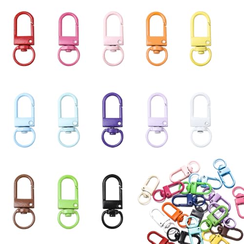 TRKETK 52 Stück Mini Karabiner Schlüsselanhänger Bunte Drehbarer Karabinerhaken Metall Schlüsselanhänger Krallenverschlüsse für Taschen DIY Projekte Basteln Seil Schlüsselringe TRKETK 52 Stück Mini Karabiner Schlüsselanhänger Bunte Drehbarer Karabinerhaken Metall Schlüsselanhänger Krallenverschlüsse für Taschen DIY Projekte Basteln Seil Schlüsselringe von TRKETK