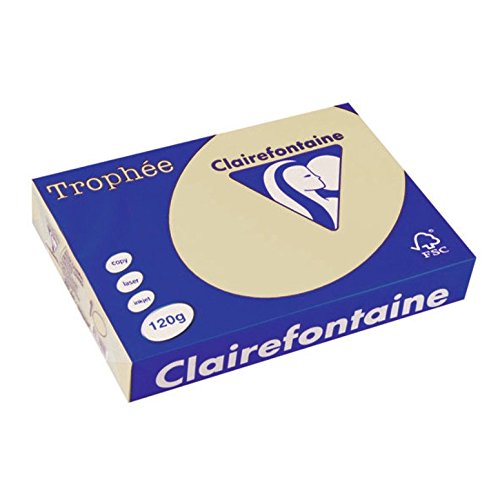 Clairefontaine 1203C - Ries mit 250 Blatt Druckerpapier / Kopierpapier Trophée, DIN A4 (21x29,7 cm), 120g, Gämse Pastellfarbe, 1 Ries von Clairefontaine