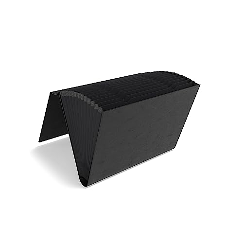Staples TRU RED TR51793/51793VS Akkordeonmappe aus Kunstleder, feuchtigkeitsbeständig, verstärkt, 13 Fächer, Briefgröße, 2 Stück Staples TRU RED TR51793/51793VS Akkordeonmappe aus Kunstleder, feuchtigkeitsbeständig, verstärkt, 13 Fächer, Briefgröße, 2 Stück von TRU RED