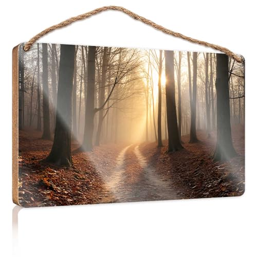 Winter-Türschild, Sonnenaufgang im Herbstwald, Holzschild, Raumsachen, Sommergeschenke (20 x 30 cm) von TSGB