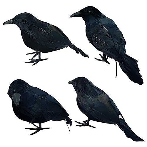 4 Stück Halloween Krähen Künstliche Gefiederte Dekorationen Krähen Realistisch Aussehende Raben Gespenstische Schwarze Feder Krähenvogel für Halloween Party Spukhaus Requisiten Garten Dekorationen (B) von TSLBW