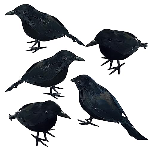 5 Stück Halloween Krähen Künstliche Gefiederte Dekorationen Krähen Realistisch Aussehende Raben Gespenstische Schwarze Feder Krähenvogel für Halloween Party Spukhaus Requisiten Garten Dekorationen (A) 5 Stück Halloween Krähen Künstliche Gefiederte Dekorationen Krähen Realistisch Aussehende Raben Gespenstische Schwarze Feder Krähenvogel für Halloween Party Spukhaus Requisiten Garten Dekorationen (A) von TSLBW