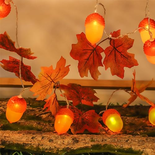TSLBW Kürbis Ahornblatt Lichterkette Thanksgiving Halloween Dekoration Lichterkette 2 Meter 10 LED Licht Herbst Girlande Indoor Outdoor Herbst Dekoration TSLBW Kürbis Ahornblatt Lichterkette Thanksgiving Halloween Dekoration Lichterkette 2 Meter 10 LED Licht Herbst Girlande Indoor Outdoor Herbst Dekoration von TSLBW